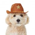 Frisco Cowboy Dog & Cat Costume Hat