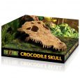 Croc Skull Repile Terrarium Decor