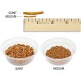 Nutrition Live Mealworms