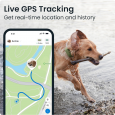 Ultimate Dog Health Guardian: XL GPS Tracker & Health Monitor (50 lbs+) | Waterproof | Fits Any Collar!